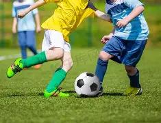 乐鱼体育,资讯,乐鱼体育app,乐鱼体育,乐鱼体育app,乐鱼体育官网,乐鱼体育下载,乐鱼体育入口