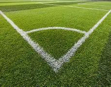 山东球迷李,平康遭戴琳,欠款陷昏迷,乐鱼体育,乐鱼体育app,乐鱼体育官网,乐鱼体育下载,乐鱼体育入口