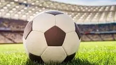 乐鱼体育 资讯 174833 yar