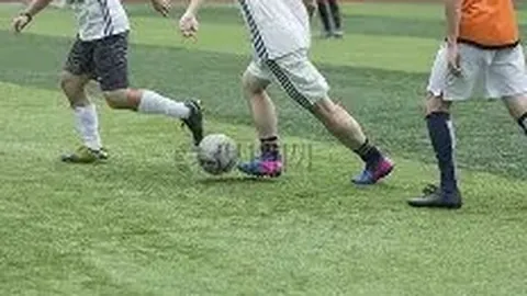 乐鱼体育 资讯 083528 hq1